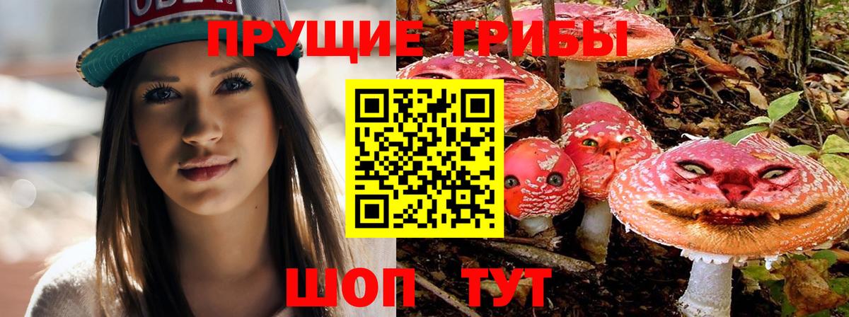 Галлюциногенные грибы MAGIC MUSHROOMS Прохладный
